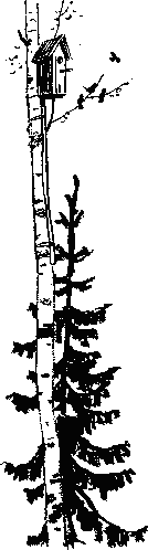 Светлана-пионерка _6.png