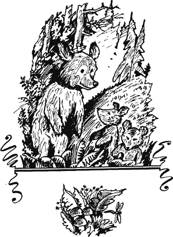 Алёнкины дорожки Solpr222.png