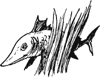Алёнкины дорожки Solpr226.png