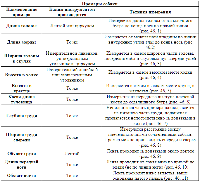 Племенное дело в служебном собаководстве i_082.png