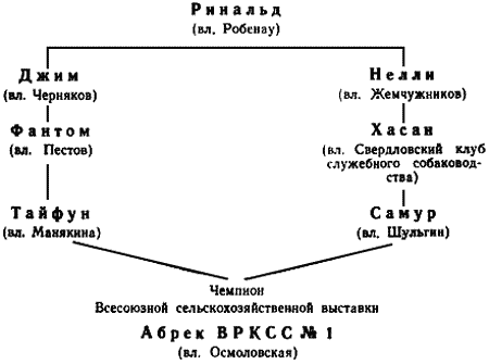 Племенное дело в служебном собаководстве i_103.png