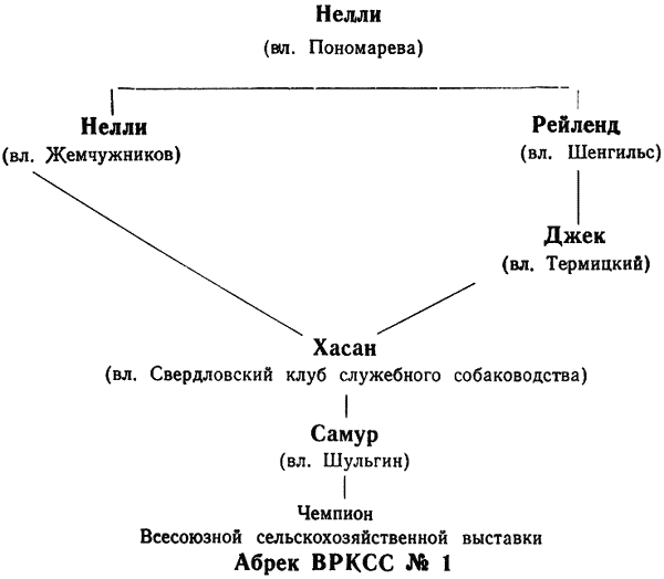 Племенное дело в служебном собаководстве i_104.png