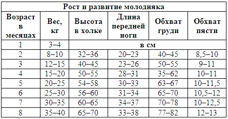 Племенное дело в служебном собаководстве i_117.png