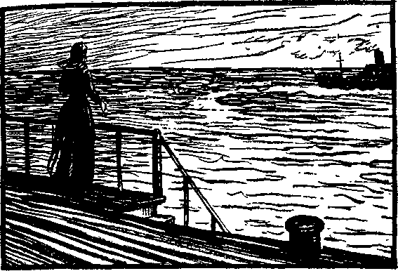 Бескрайние земли _1.png