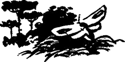 Невидимый свет (сборник) i_002.png