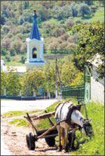 Литературная Газета  6247 ( № 43 2009) TAG_userfiles_image_43_6247_2009_23-2_jpg779514