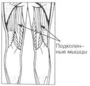 Управление телом по методу Пилатеса any2fbimgloader32.jpeg