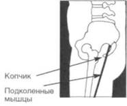 Управление телом по методу Пилатеса any2fbimgloader33.jpeg