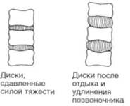 Управление телом по методу Пилатеса any2fbimgloader45.jpeg