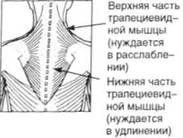 Управление телом по методу Пилатеса any2fbimgloader50.jpeg