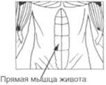 Управление телом по методу Пилатеса any2fbimgloader66.jpeg