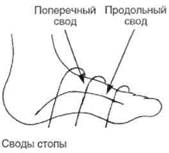 Управление телом по методу Пилатеса any2fbimgloader85.jpeg