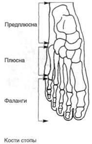 Управление телом по методу Пилатеса any2fbimgloader90.jpeg