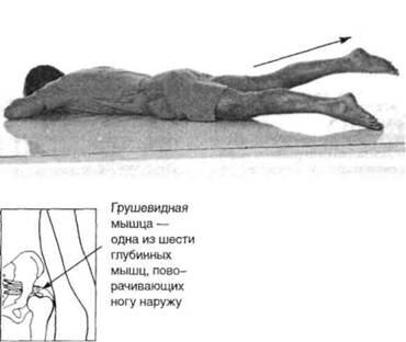 Управление телом по методу Пилатеса any2fbimgloader94.jpeg