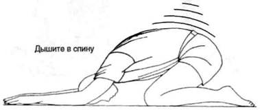 Управление телом по методу Пилатеса any2fbimgloader100.jpeg
