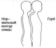 Управление телом по методу Пилатеса any2fbimgloader102.jpeg