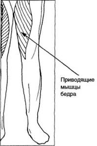 Управление телом по методу Пилатеса any2fbimgloader108.jpeg
