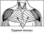 Управление телом по методу Пилатеса any2fbimgloader110.jpeg