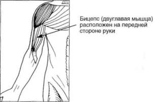 Управление телом по методу Пилатеса any2fbimgloader119.jpeg