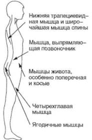 Управление телом по методу Пилатеса any2fbimgloader16.jpeg
