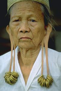 В царстве пигмеев и каннибалов ears.jpg