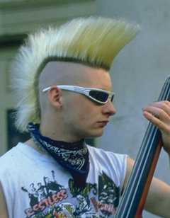 В царстве пигмеев и каннибалов punk.jpg