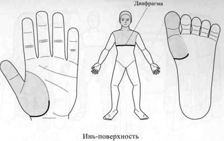 Су Джок семянотерапия any2fbimgloader19.jpeg