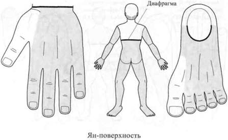 Су Джок семянотерапия any2fbimgloader22.jpeg
