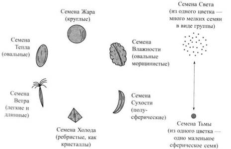 Су Джок семянотерапия any2fbimgloader52.jpeg
