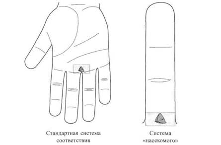 Су Джок семянотерапия any2fbimgloader58.jpeg