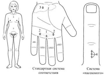 Су Джок семянотерапия any2fbimgloader71.jpeg