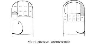 Су Джок семянотерапия any2fbimgloader74.jpeg