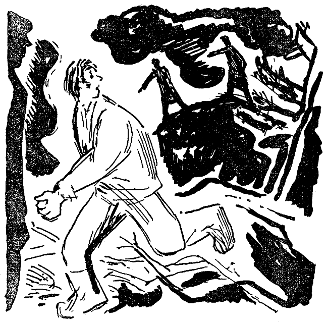 Искатель. 1971. Выпуск №5 i_016.png