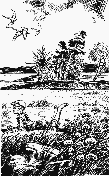 Белая трава. (Рассказы) pic01_2.png