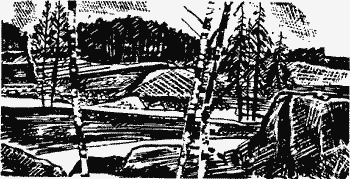 Белая трава. (Рассказы) pic07_1.png