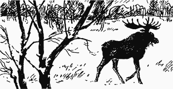 Белая трава. (Рассказы) pic18_1.png