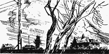 Белая трава. (Рассказы) pic12_1.png