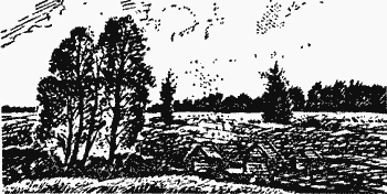 Белая трава. (Рассказы) pic06_1.png