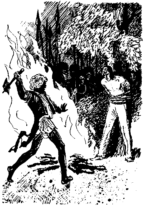 Плавучий остров. Вверх дном pic_18.png