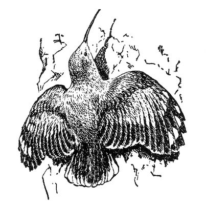 Большая Советская Энциклопедия (СТ) i009-001-222407091.jpg