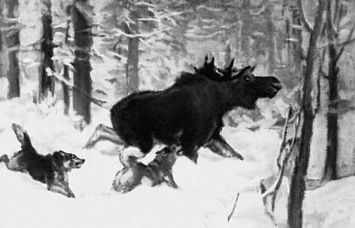 Большая Советская Энциклопедия (СТ) i008-pictures-001-288249070.jpg