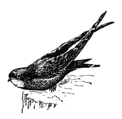 Большая Советская Энциклопедия (СТ) i009-001-236817193.jpg