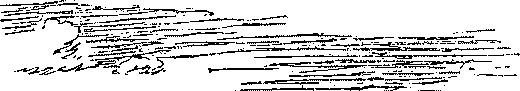 Драгоценный груз img_10.png