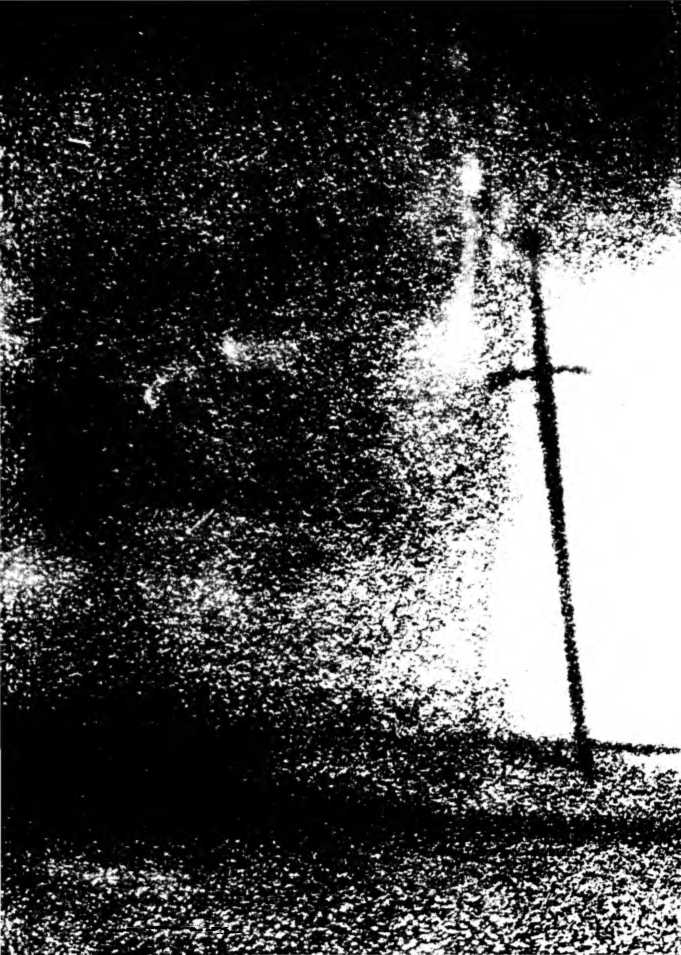 i_005.jpg