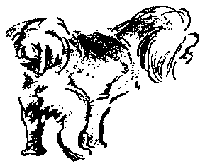 Две повести (с илл.) pic_23.png