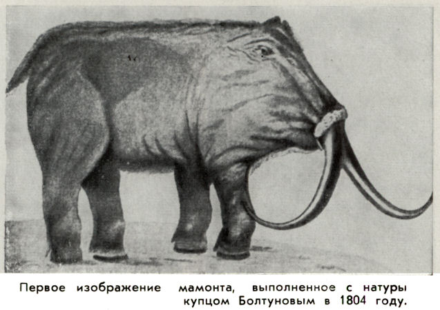 Владимир Ковалевский kovale17.jpg