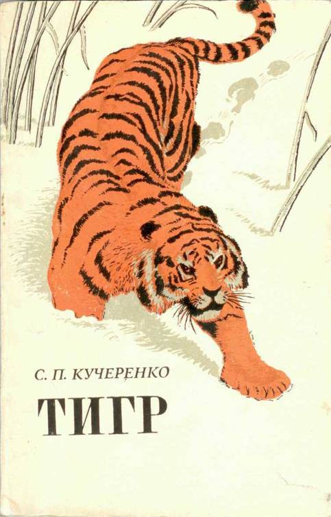 Тигр _1.jpg