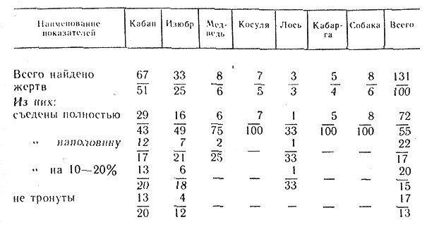 Тигр _19.jpg