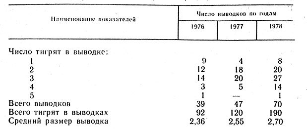 Тигр _20.jpg
