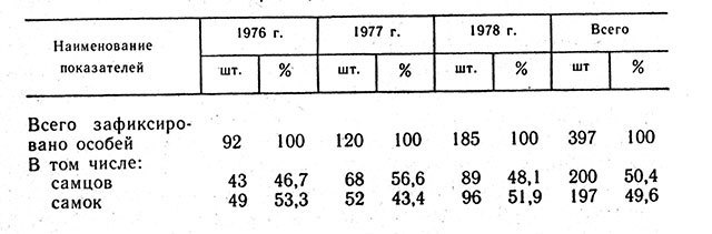 Тигр _21.jpg